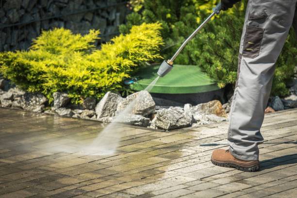 Best Dumpster Area Cleaning  in West Lawn, PA